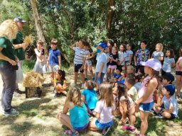 ColoursOfMyParkESP (5)